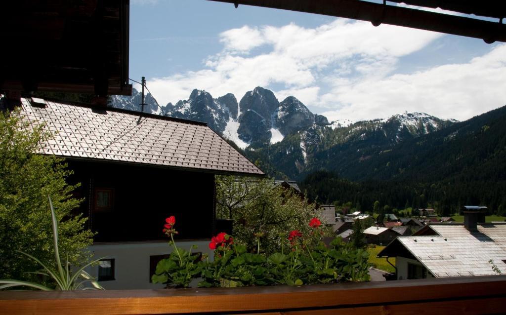 Andrea Schmaranzer - * Gosau