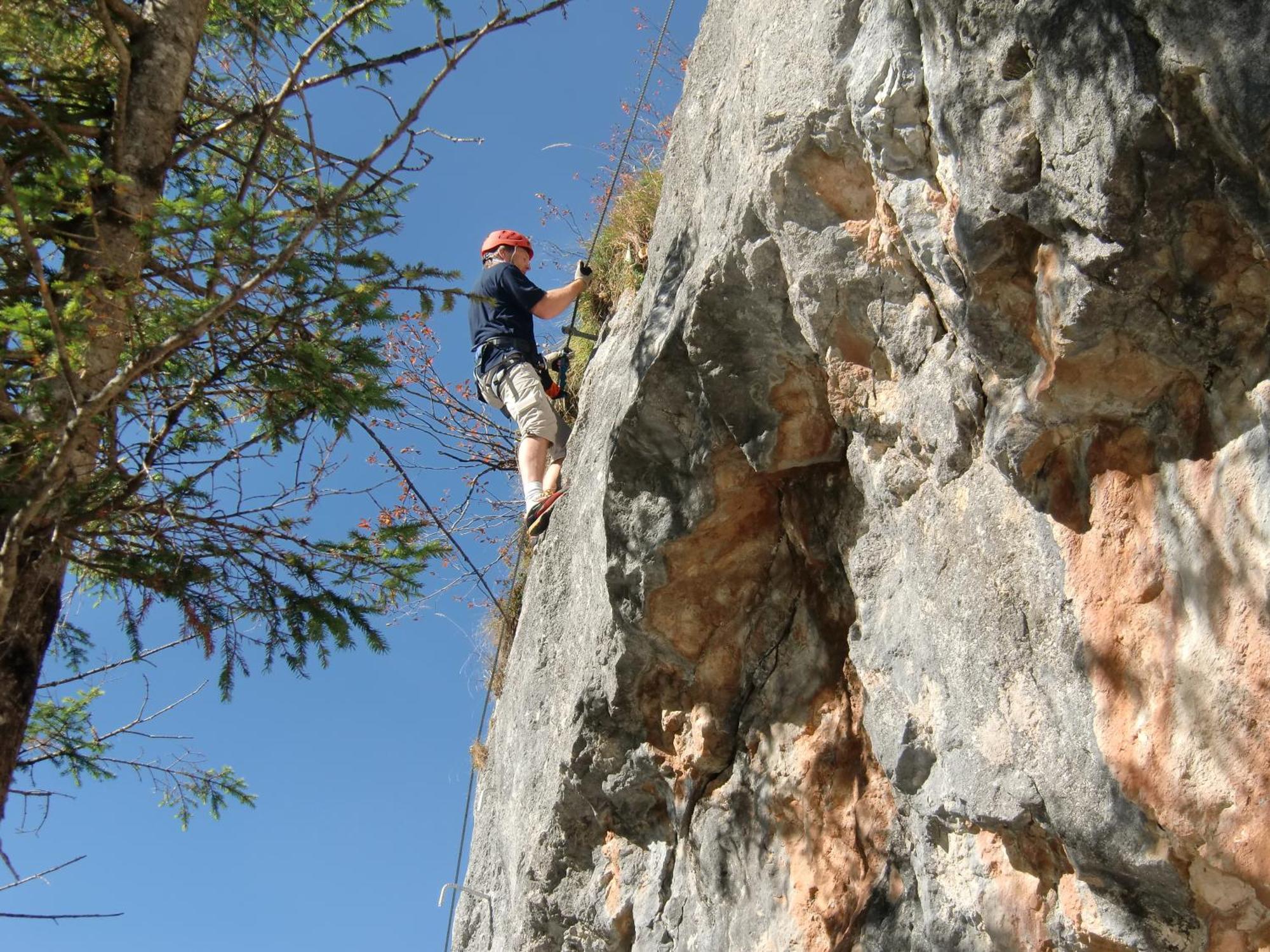 Andrea Schmaranzer - Gasthof Gosau