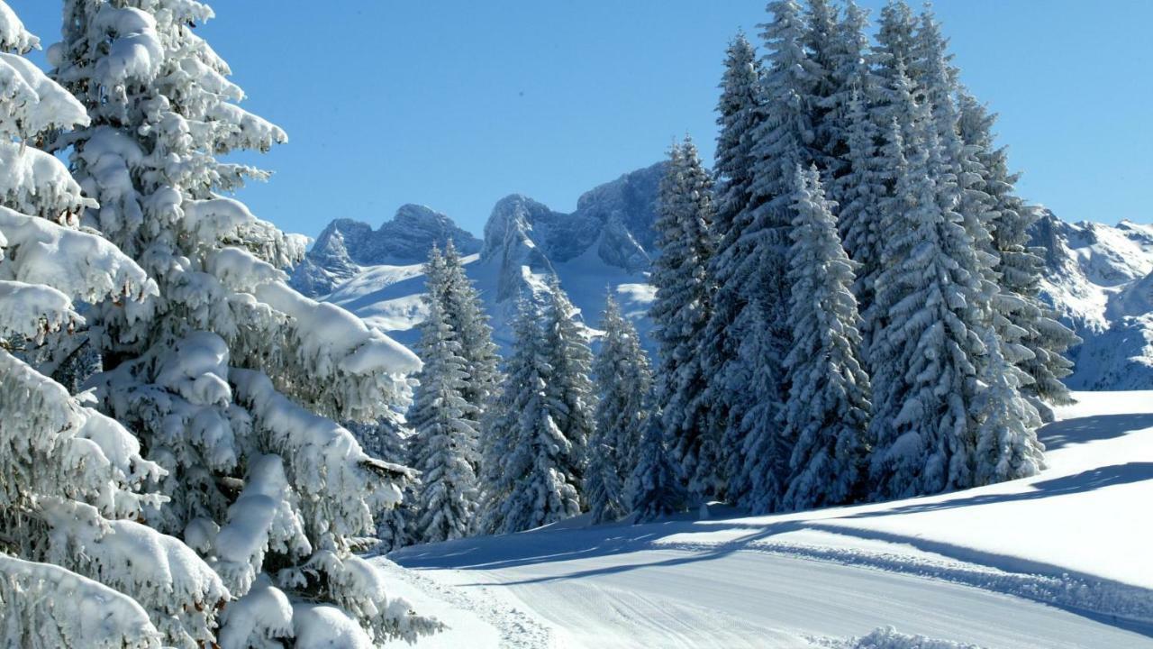 Gasthof Andrea Schmaranzer - *