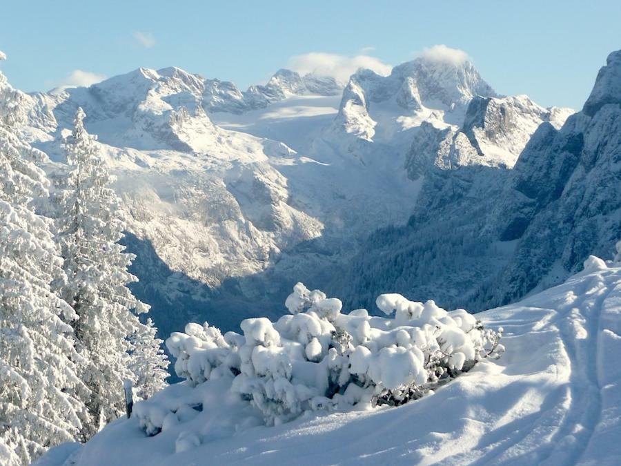 Andrea Schmaranzer - Gasthof Gosau